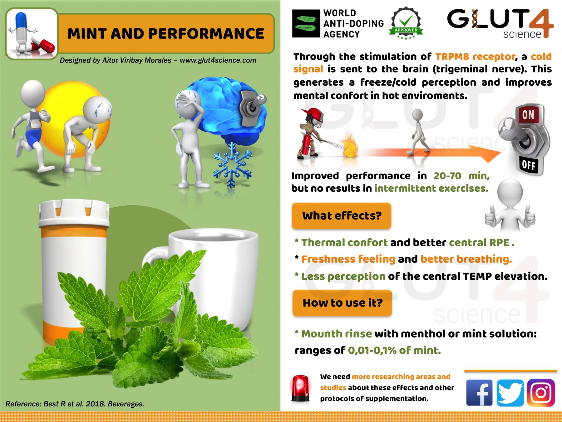 Mint and Sport Performance