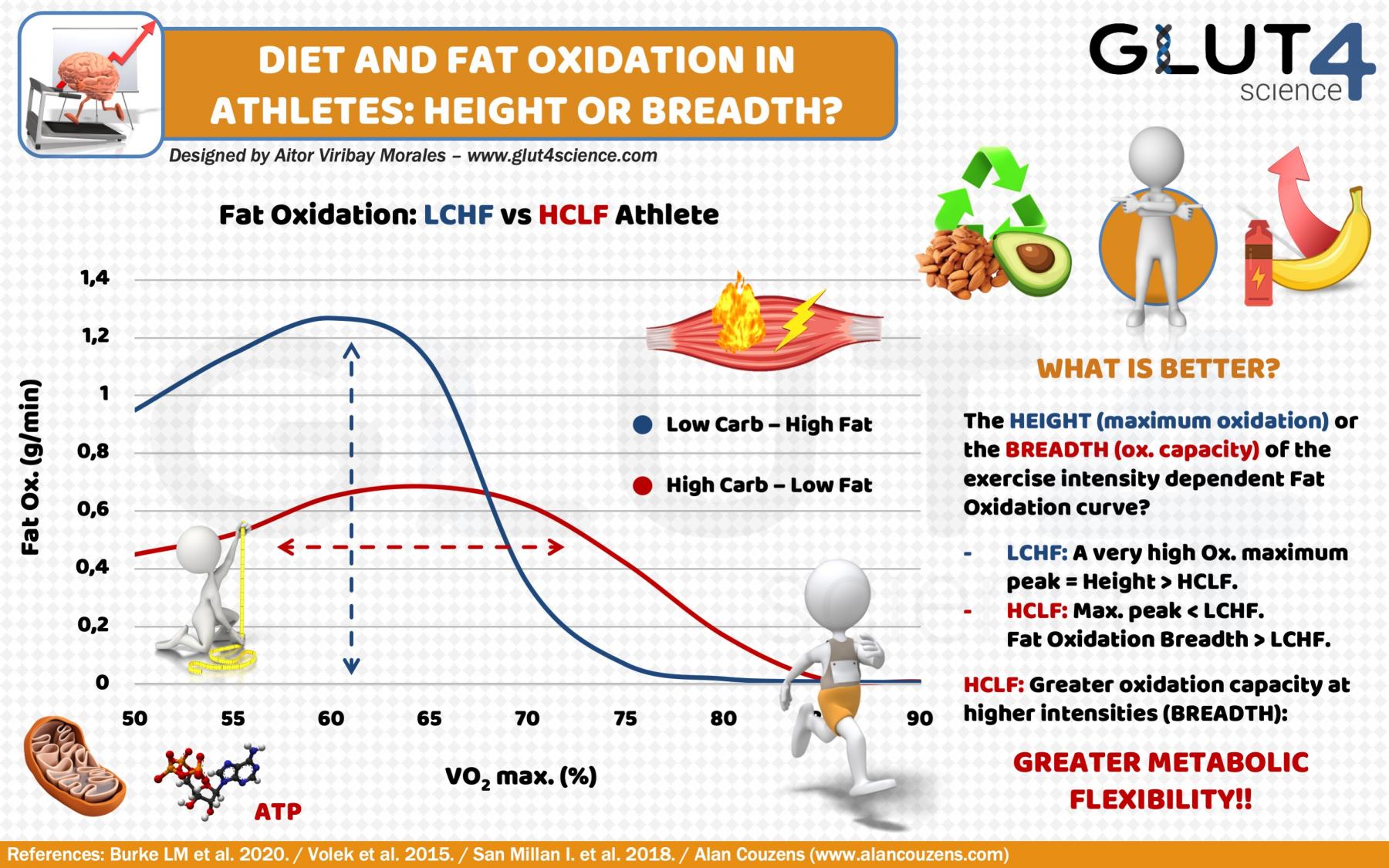 Gantzen oxidazioa kirolarietan: Dieta Low Carb eta High Fat