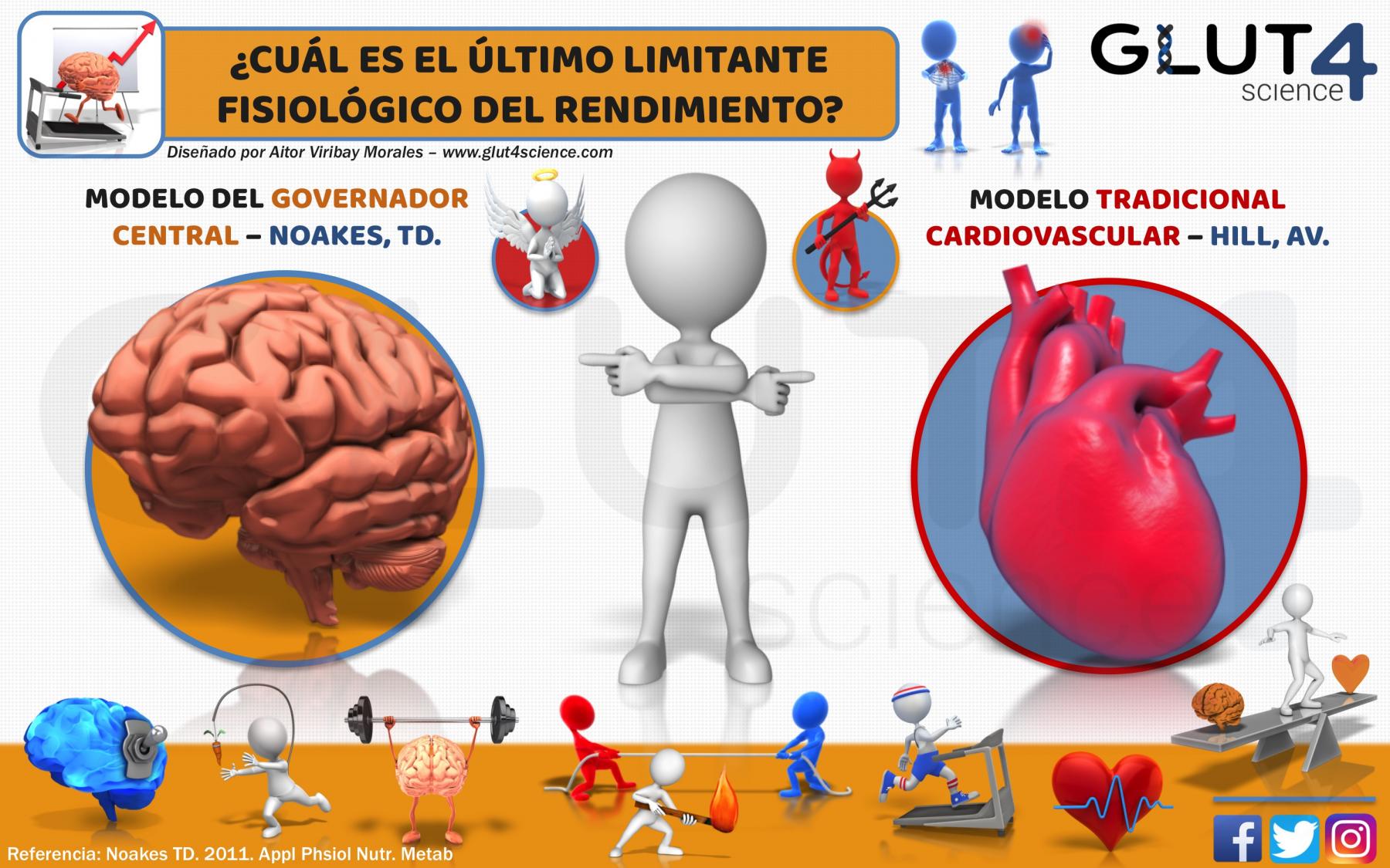 Cerebro VS Corazón Fisiología Ejercicio