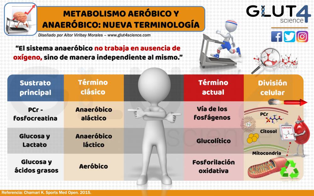 aerobico lactico y alactico