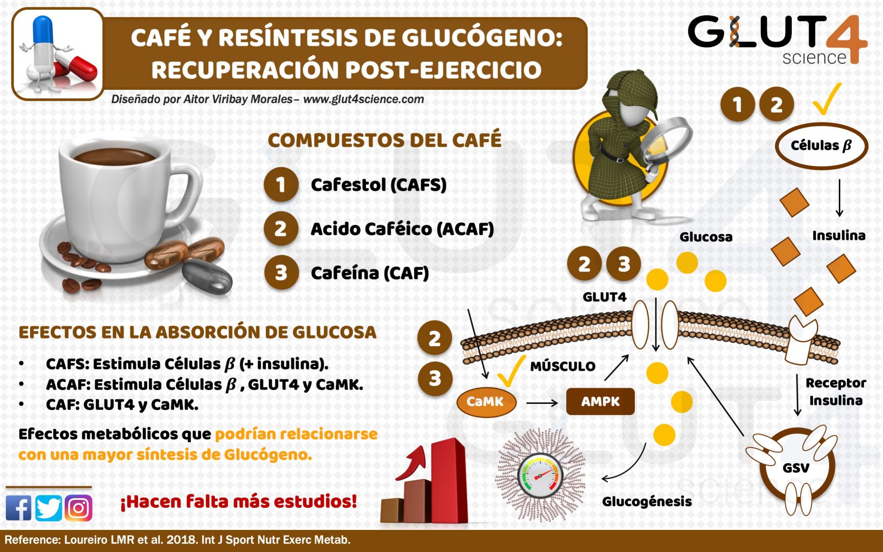 Café y Resíntesis de Glucógeno