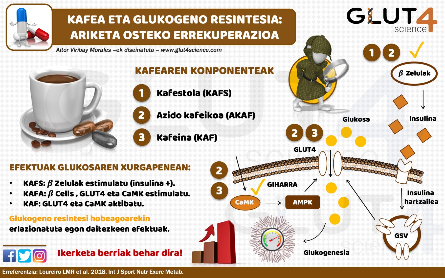 Kafea eta glukogeno resintesia