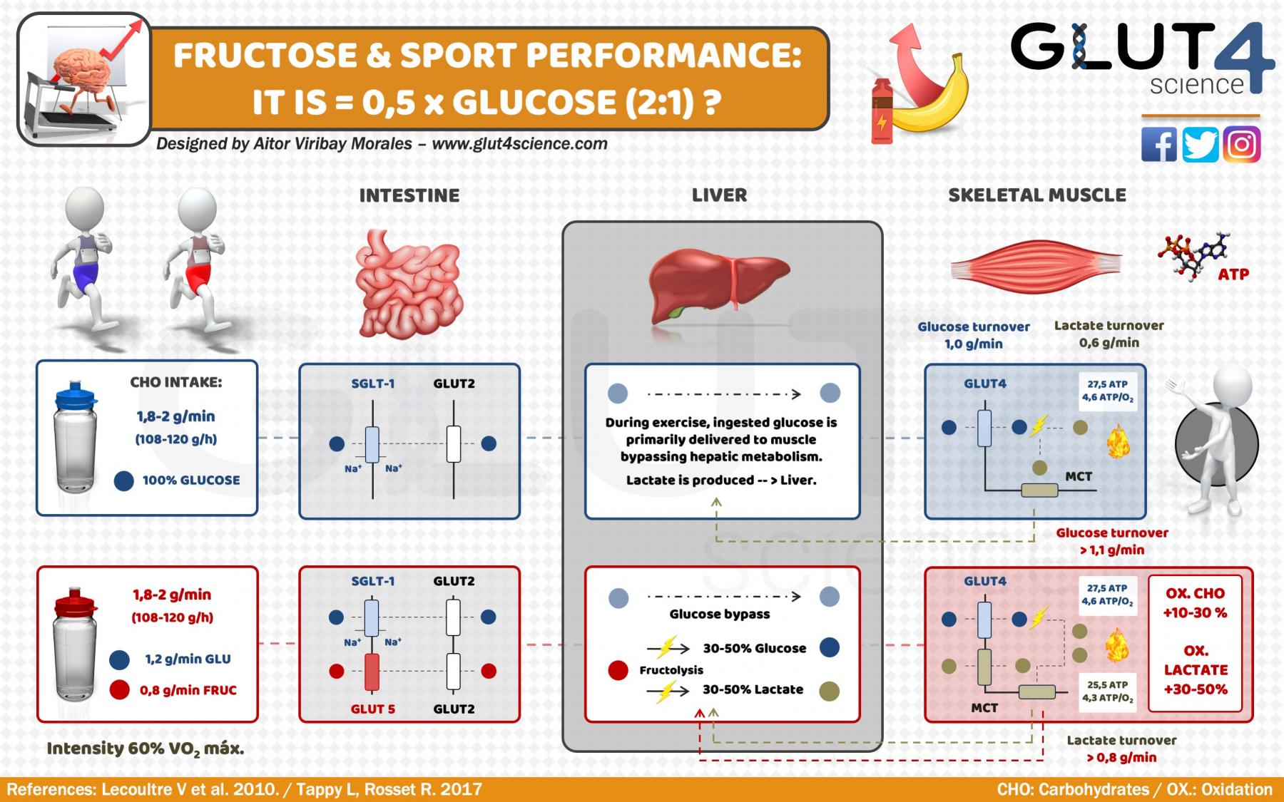 Fructose and sport performance: More than 0,5 x glucose (ratio 2:1)