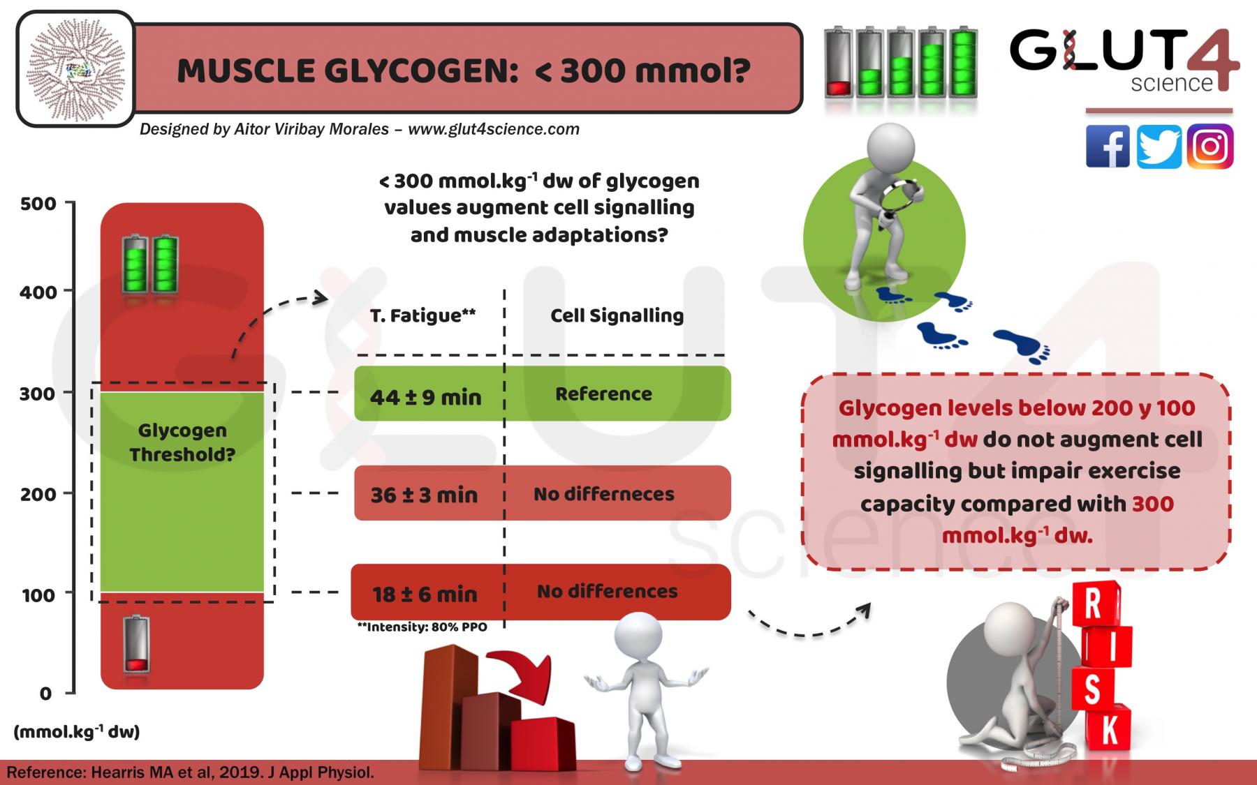 Glycogen <300mmol: Cell Signalling