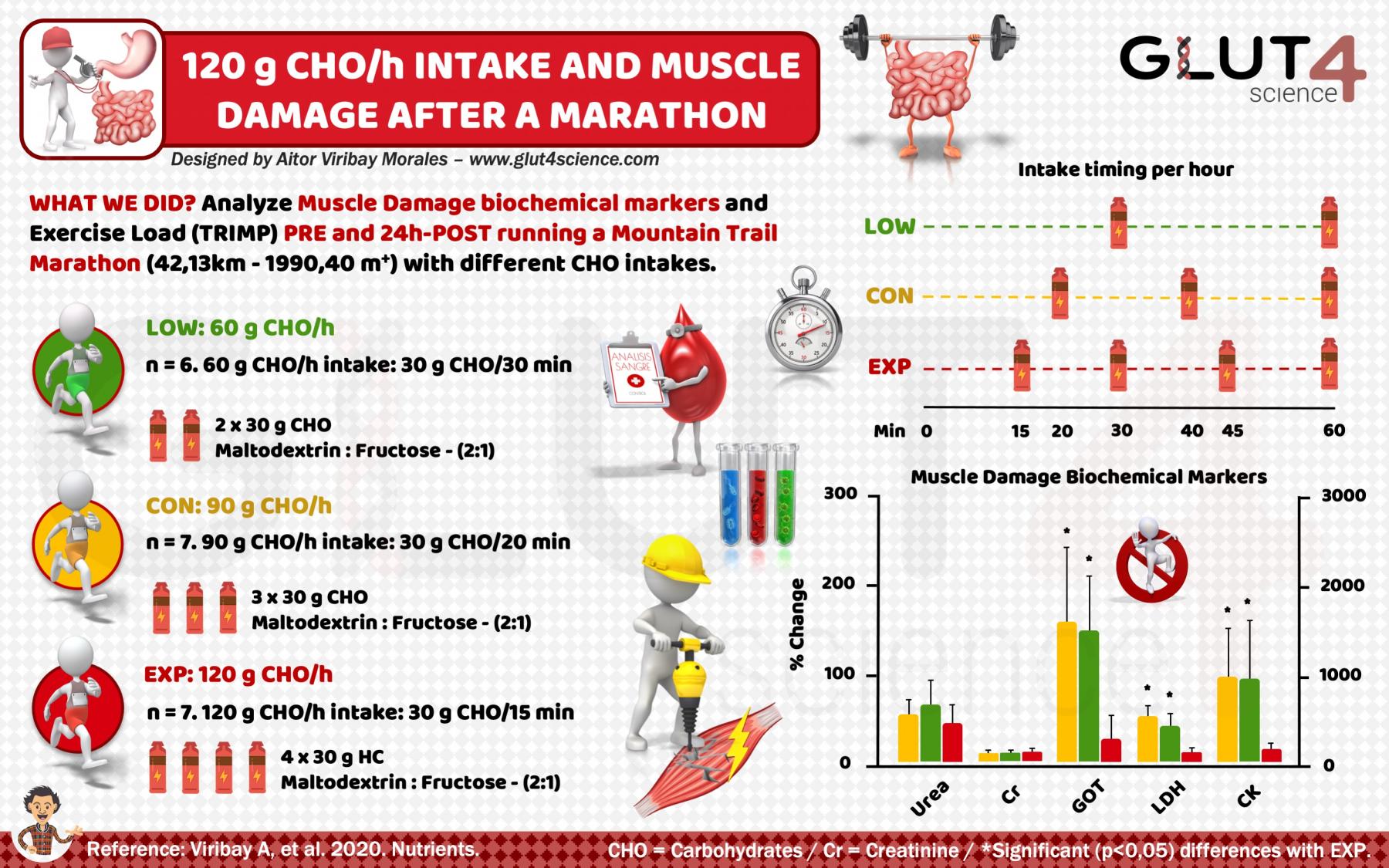 Intake of 120 grams per hour of Carbohydrates and muscle damage after a marathon - Viribay A - Glut4science.