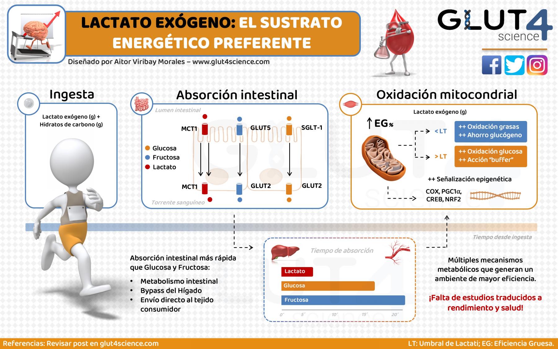 ExoLactate Fuelling Energy