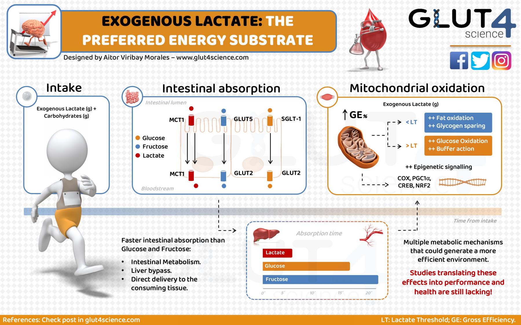 ExoLactate Fuelling Energy ENG