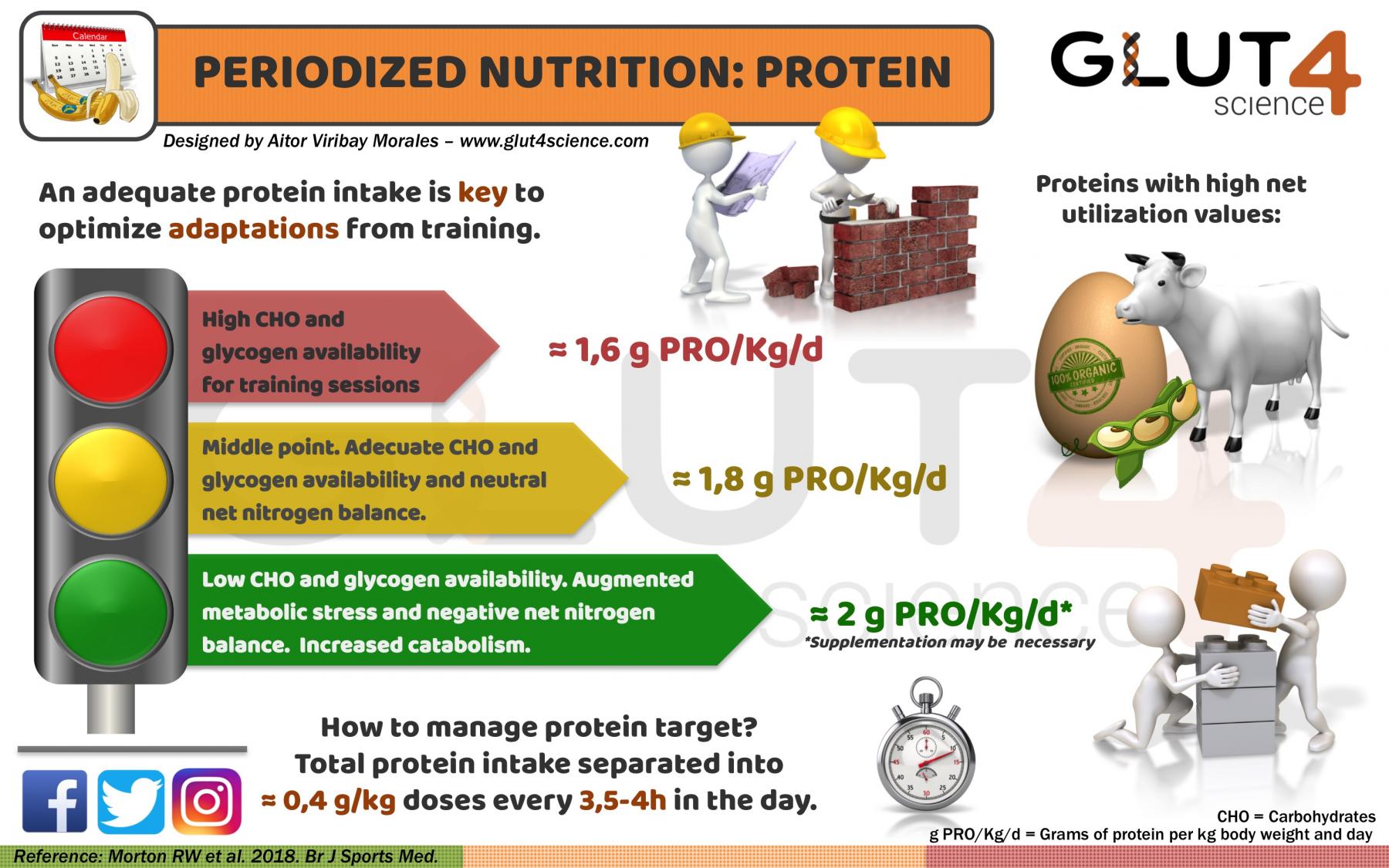 Periodized Nutrition and Proteins