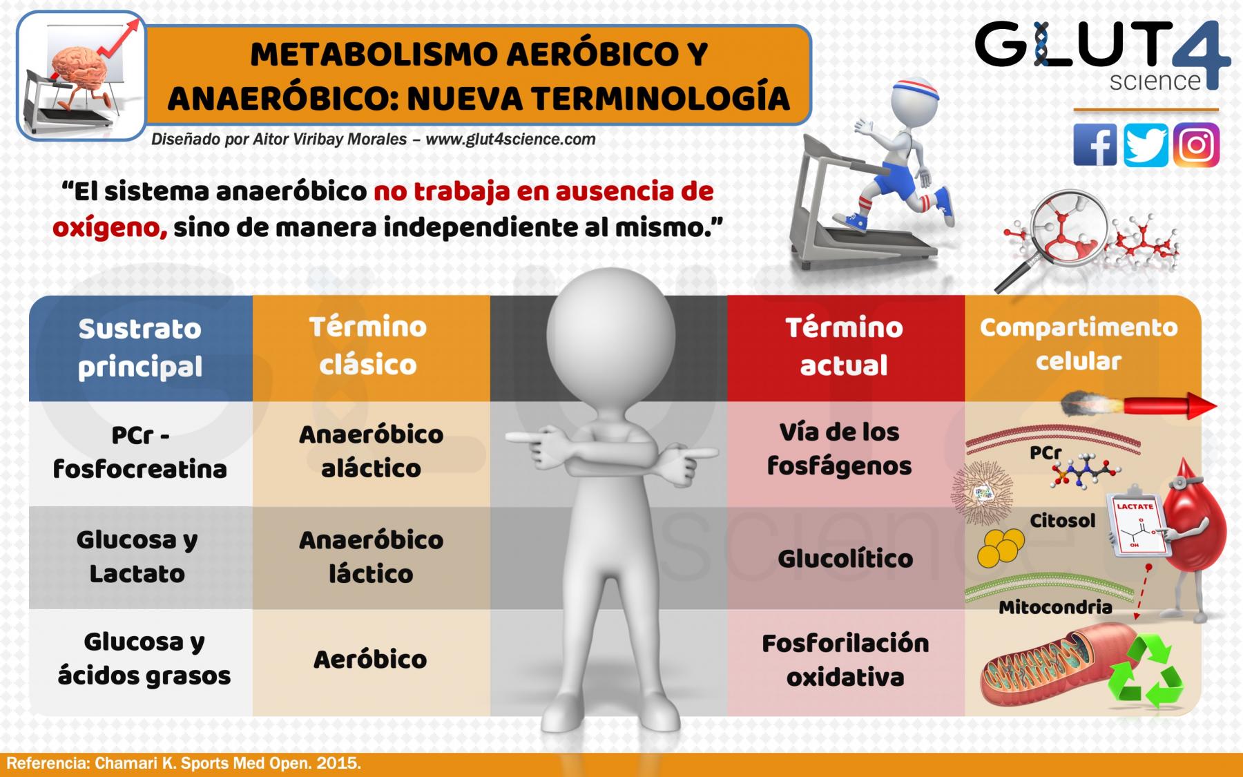 Aeróbico y Anaeróbico en Fisiología del Ejercicio: Nueva Terminología ...